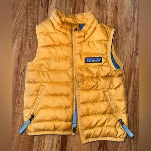 Patagonia down sweater vest